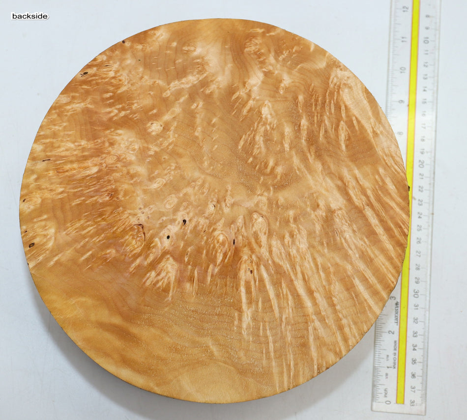 Maple Burl Round 10" diameter x 3.8" (HIGH FIGURE) - Stock# 6-0839