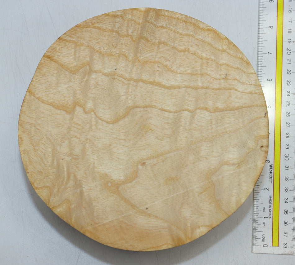 White Ash Round 8" diameter x 3" - Stock# 6-0853