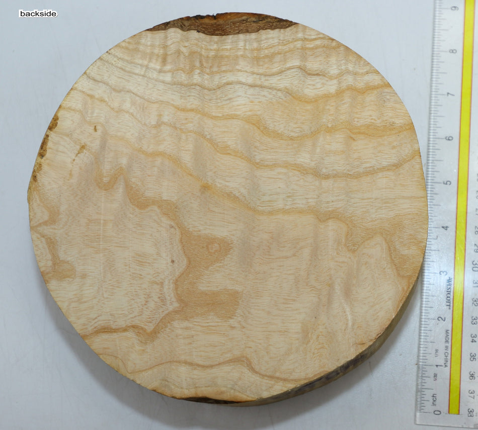 White Ash Round 8" diameter x 3" - Stock# 6-0853