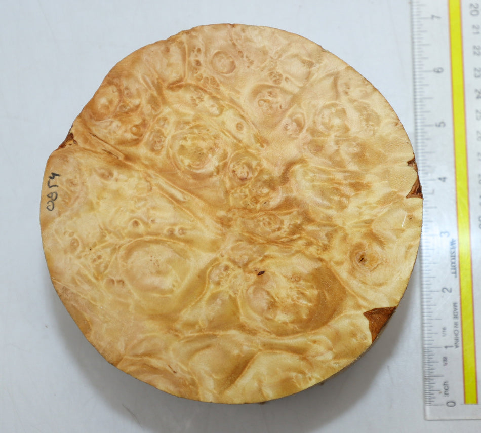 Maple Burl Round 6" diameter x 3.3" (PREMIUM FIGURE) - Stock# 6-0854