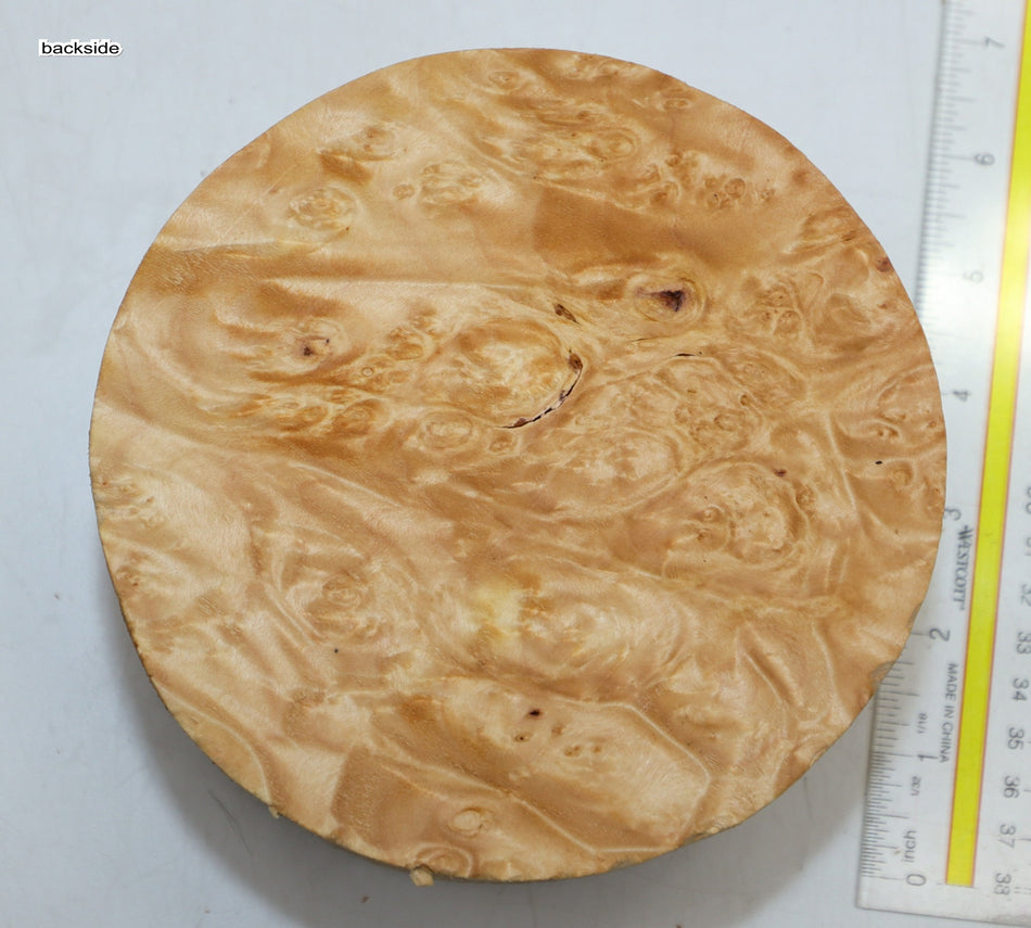 Maple Burl Round 6" diameter x 3.3" (PREMIUM FIGURE) - Stock# 6-0854