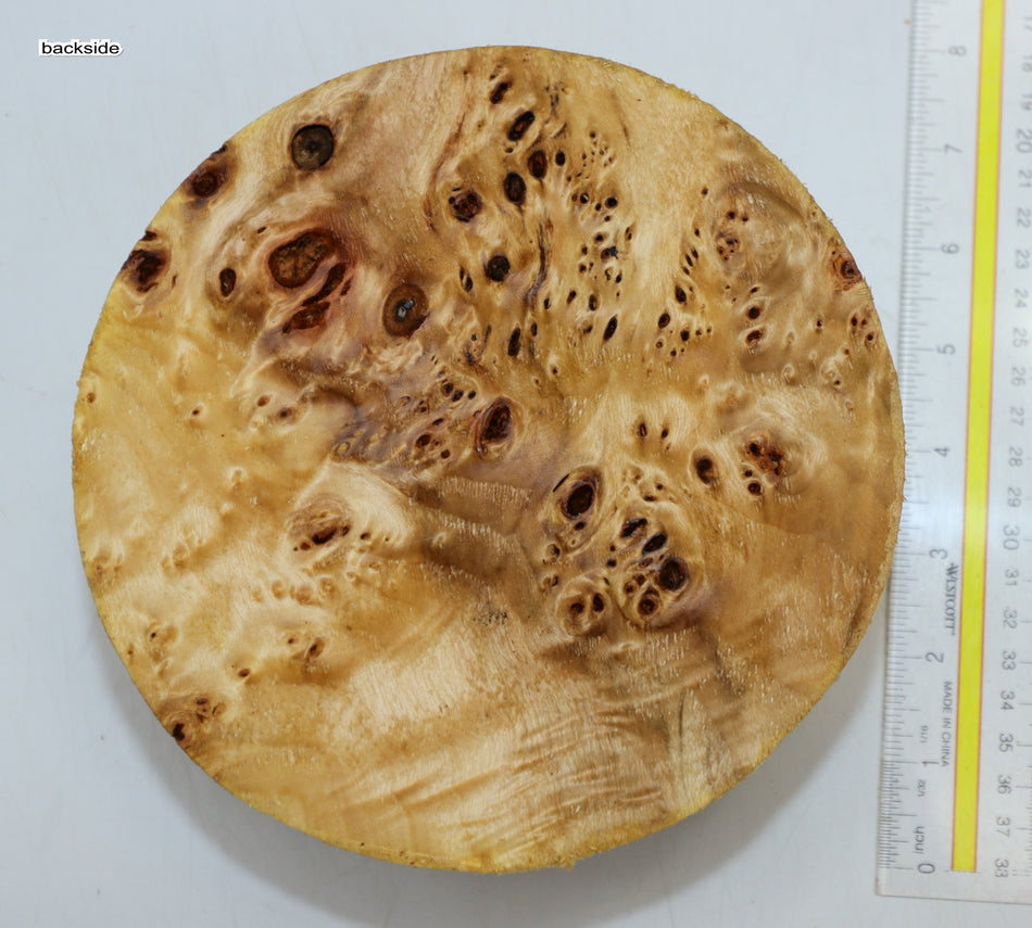 Cottonwood Burl Round 7" diameter x 3.8" (HIGH FIGURE) - Stock# 6-0855