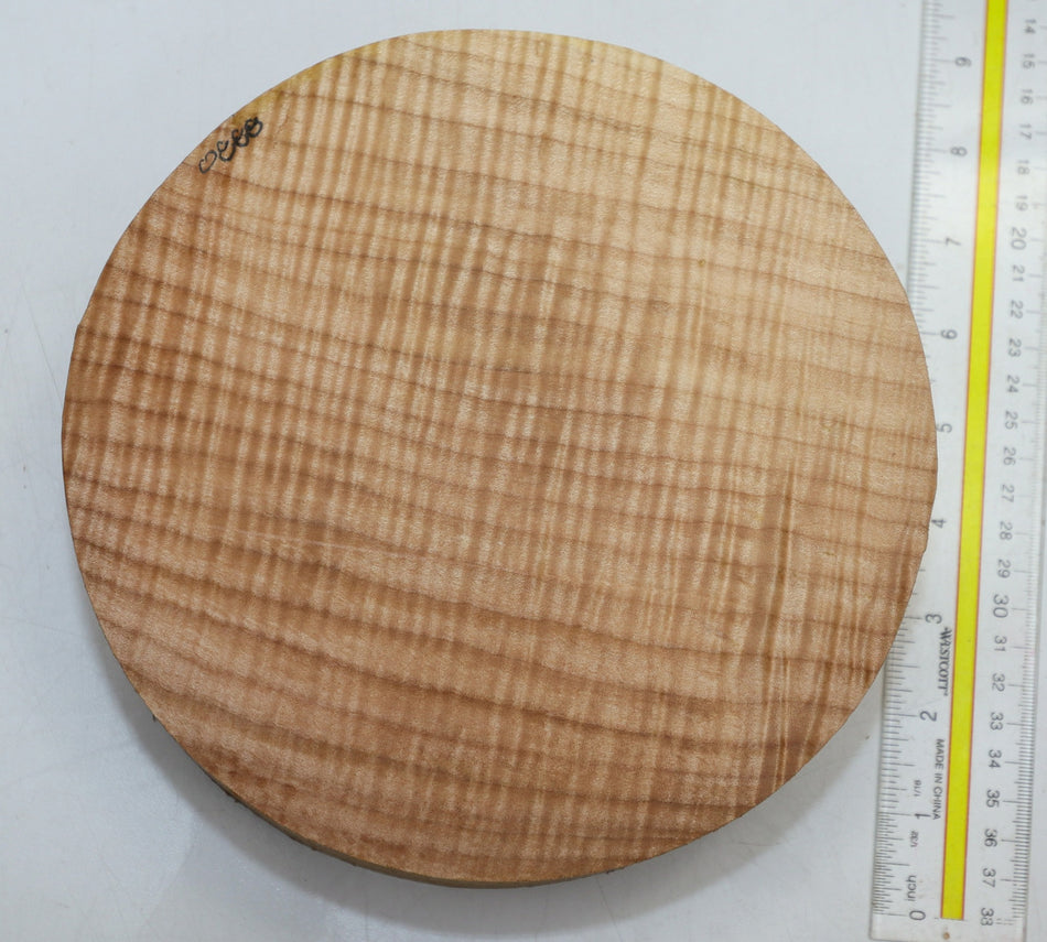 Maple Flame Round 8" diameter x 2.6" (HIGH FIGURE) - Stock# 6-0888