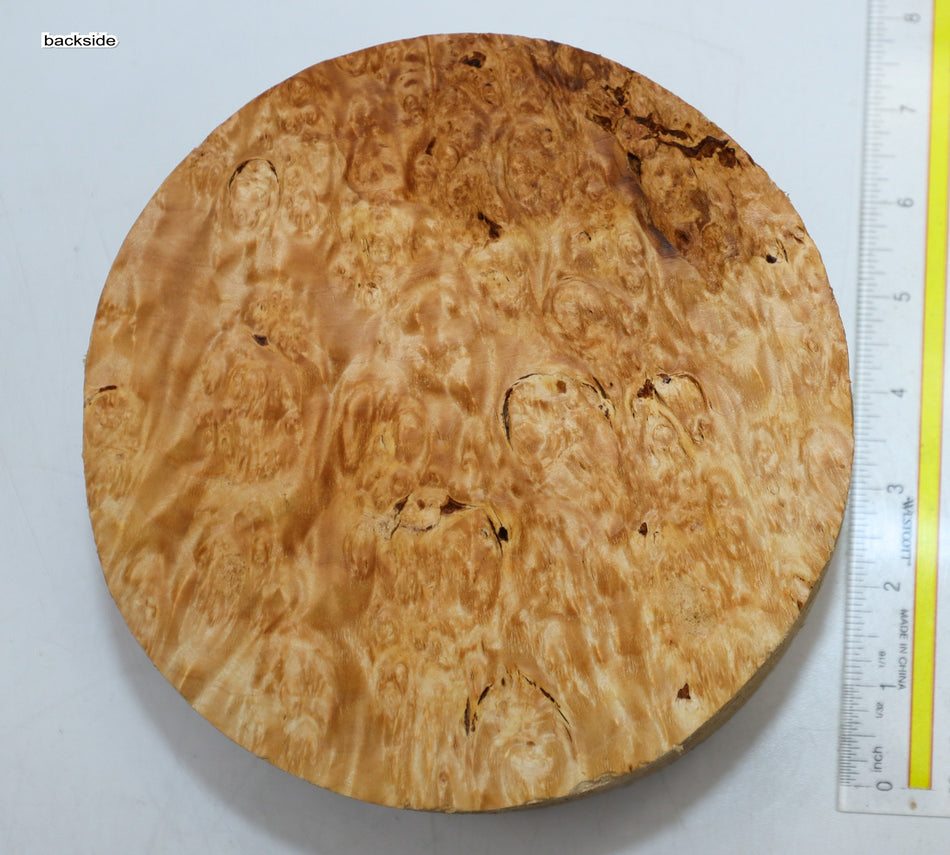 Maple Burl Round 7" diameter x 3.3" (PREMIUM FIGURE) - Stock# 6-0889