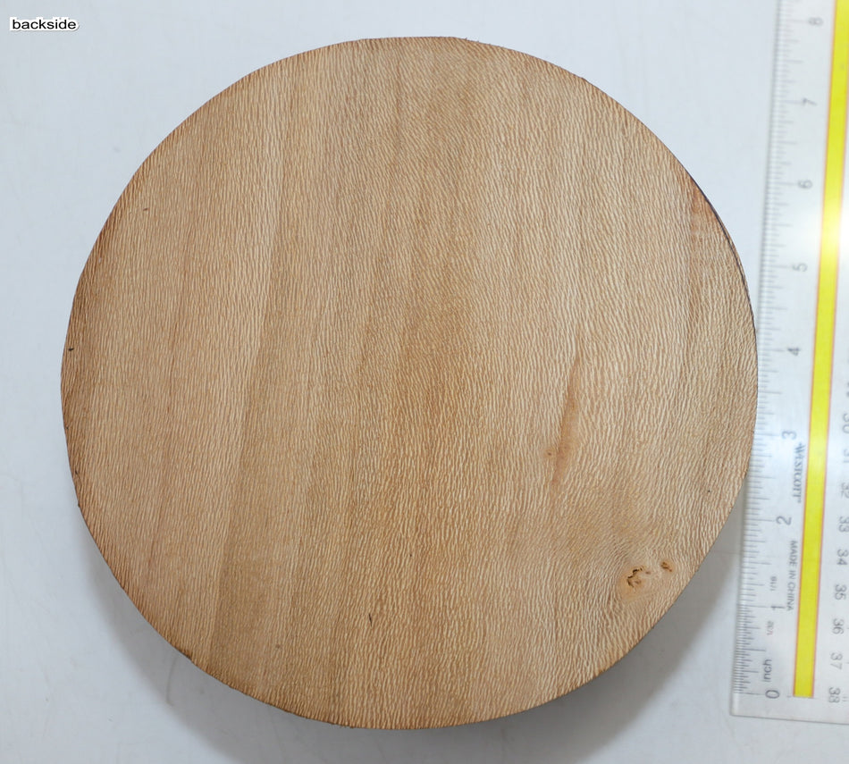 London Plane Round 7" diameter x 3.6" (GREAT FIGURE) - Stock# 6-0901