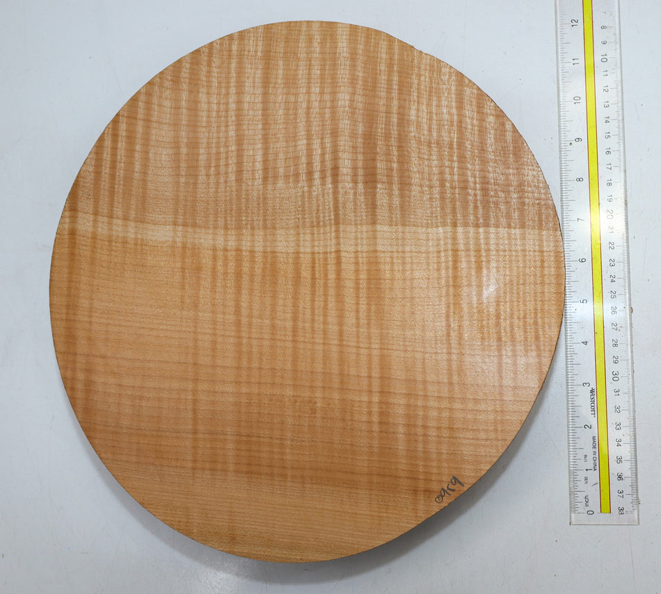 Maple Flame Round 12" diameter x 2.4" (GREAT FIGURE) - Stock# 6-0959