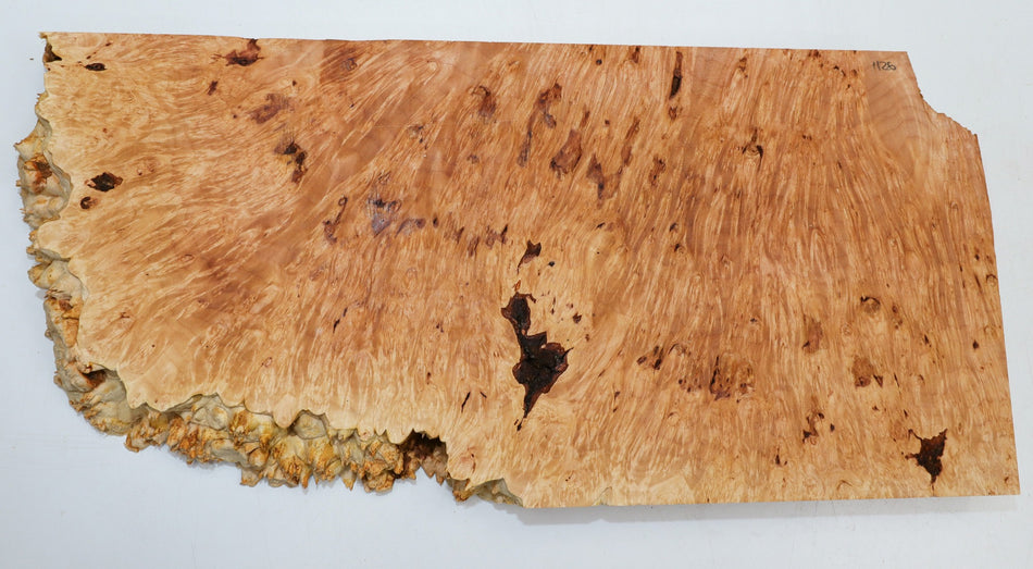 Maple Burl block 22" x 10" x 1.75" (PREMIUM FIGURE) - Stock# 6-1126