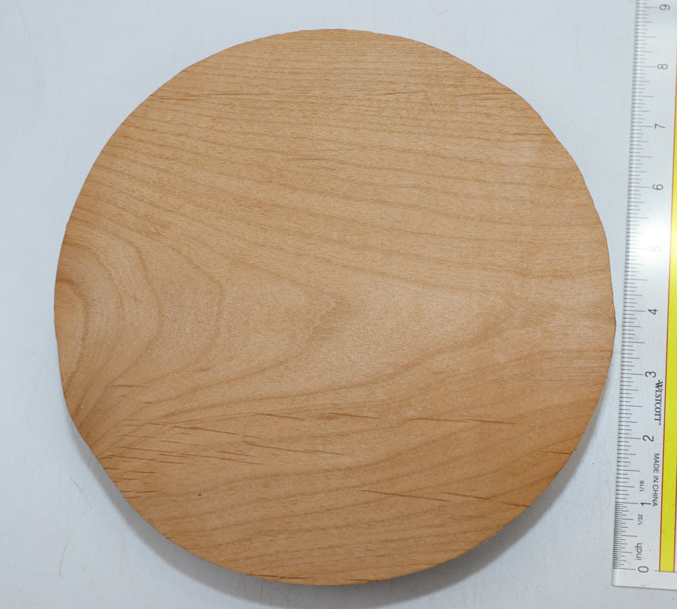 Alder Round 8" diameter x 1.85" - Stock# 6-1166