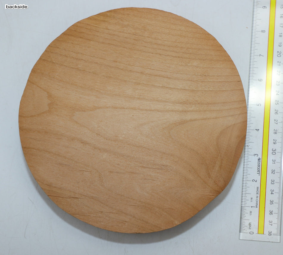 Alder Round 8" diameter x 1.85" - Stock# 6-1166