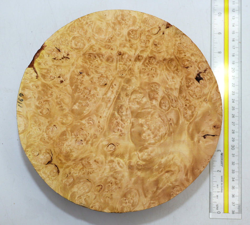 Maple Burl Round 9" diameter x 3.3" (PREMIUM FIGURE) - Stock# 6-1169