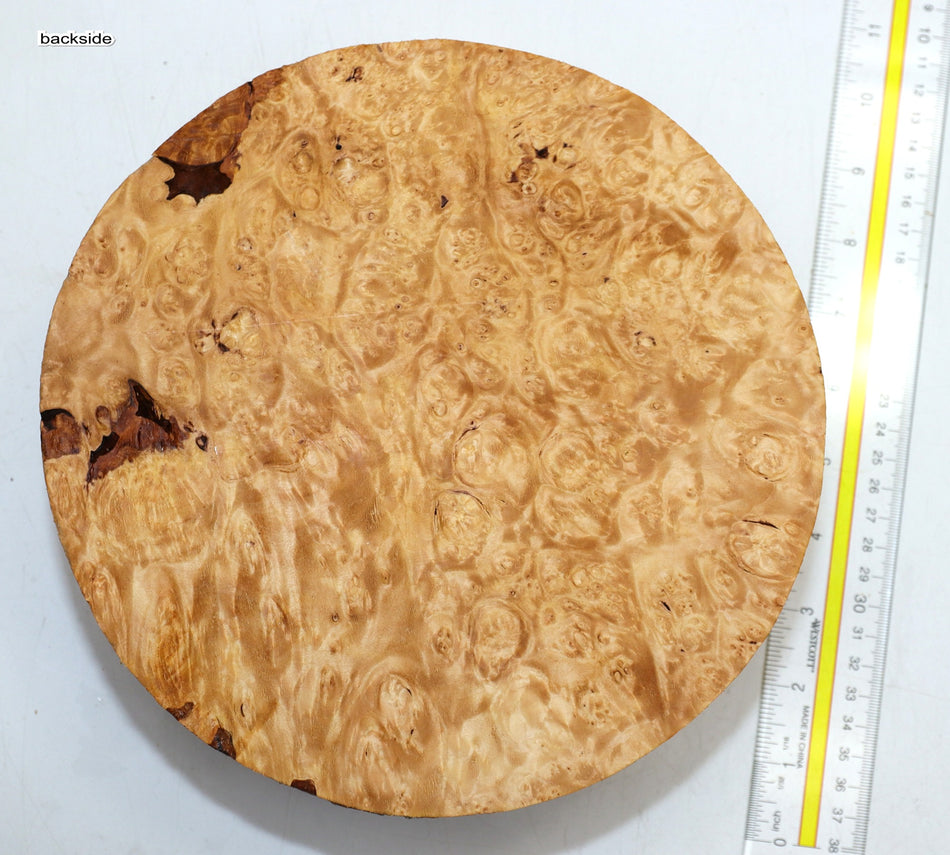 Maple Burl Round 9" diameter x 3.3" (PREMIUM FIGURE) - Stock# 6-1169