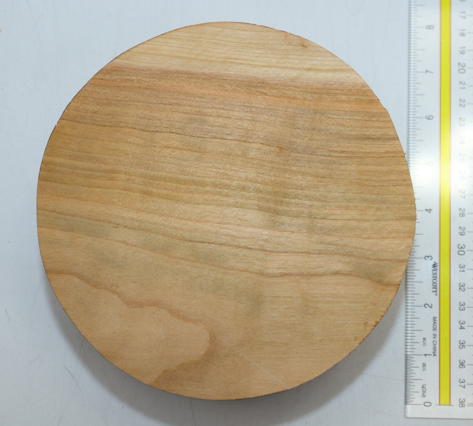 Cherry Round 7" diameter x 3" - Stock# 6-1186