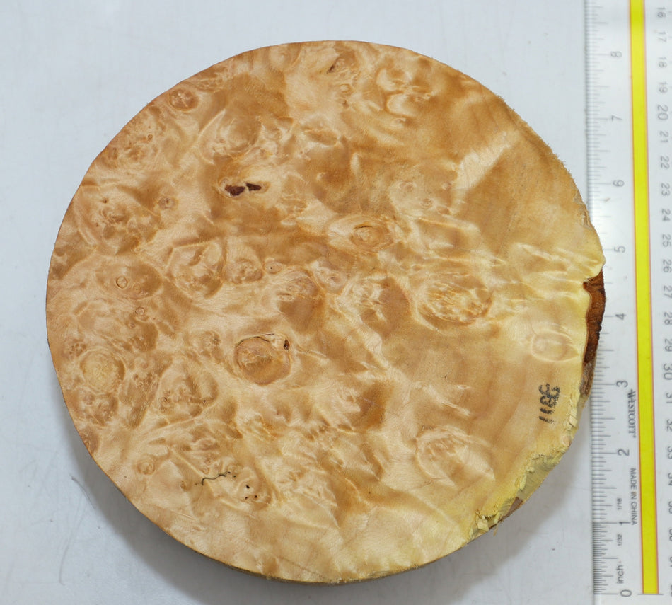 Maple Burl Round 7" diameter x 3.25" (PREMIUM FIGURE) - Stock# 6-1188