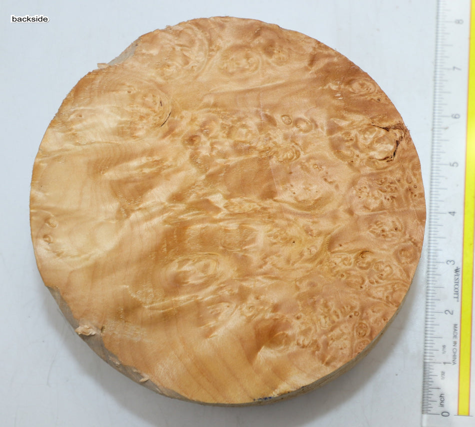 Maple Burl Round 7" diameter x 3.25" (PREMIUM FIGURE) - Stock# 6-1188