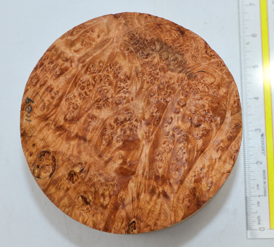 Maple Burl Round 6" diameter x 3.2" (PREMIUM FIGURE) - Stock# 6-1189