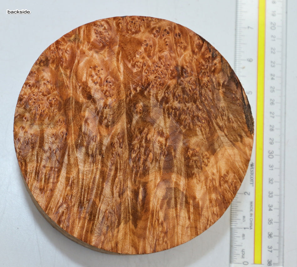 Maple Burl Round 6" diameter x 3.2" (PREMIUM FIGURE) - Stock# 6-1189