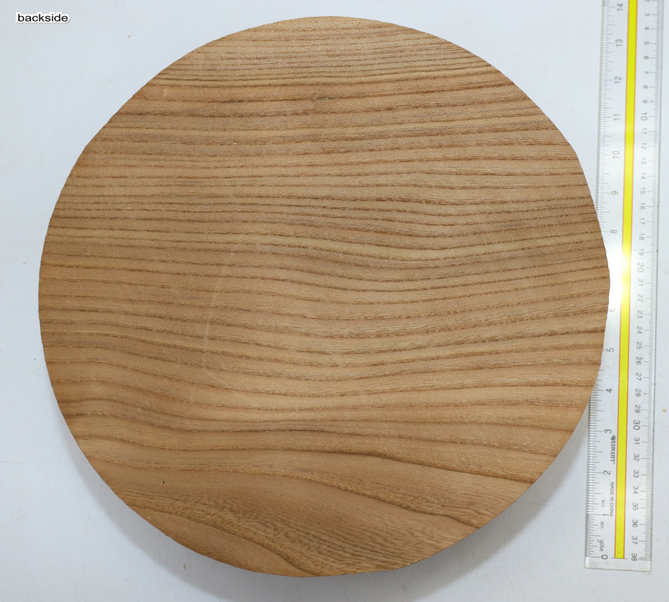 Red Elm Round 12" diameter x 4" - Stock# 6-1205