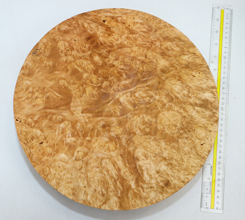 Maple Burl Round 12.5" diameter x 3.3" (PREMIUM FIGURE) - Stock# 6-1214