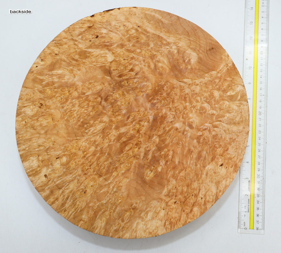 Maple Burl Round 12.5" diameter x 3.3" (PREMIUM FIGURE) - Stock# 6-1214