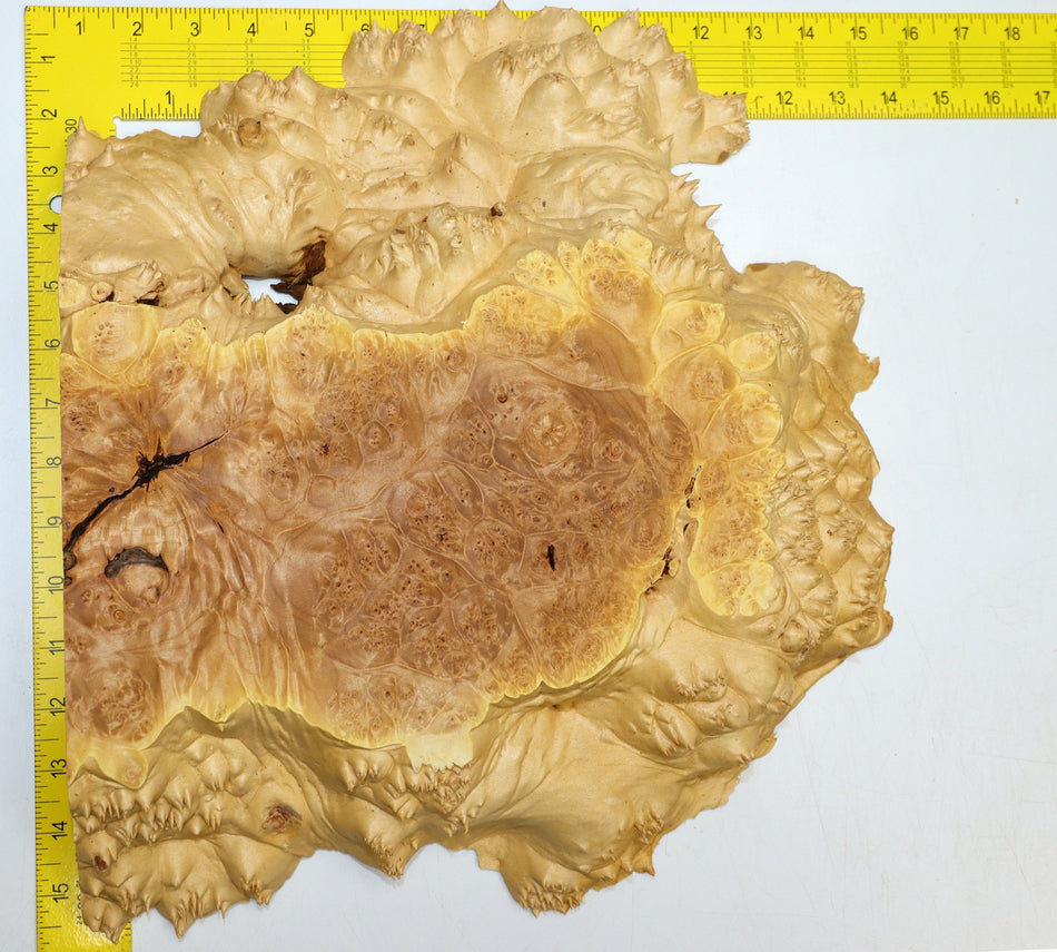 Maple Burl Block 14" x 13" x 2.35" (PREMIUM FIGURE) - Stock# 6-1215