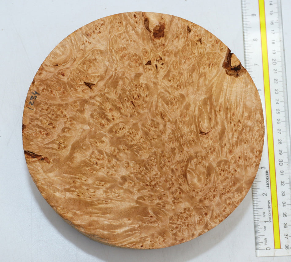 Maple Burl Round 8" diameter x 3.3" (PREMIUM FIGURE) - Stock# 6-1234