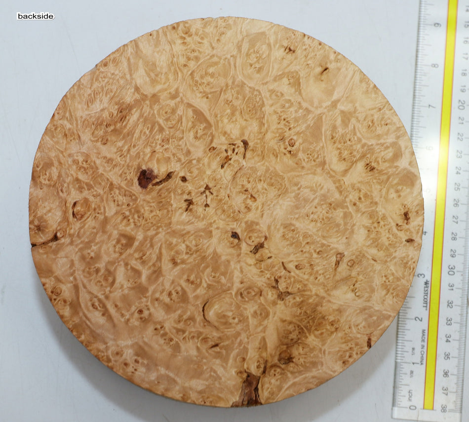 Maple Burl Round 8" diameter x 3.3" (PREMIUM FIGURE) - Stock# 6-1234