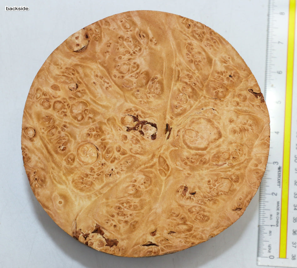 Maple Burl Round 7" diameter x 3.3" (PREMIUM FIGURE) - Stock# 6-1265