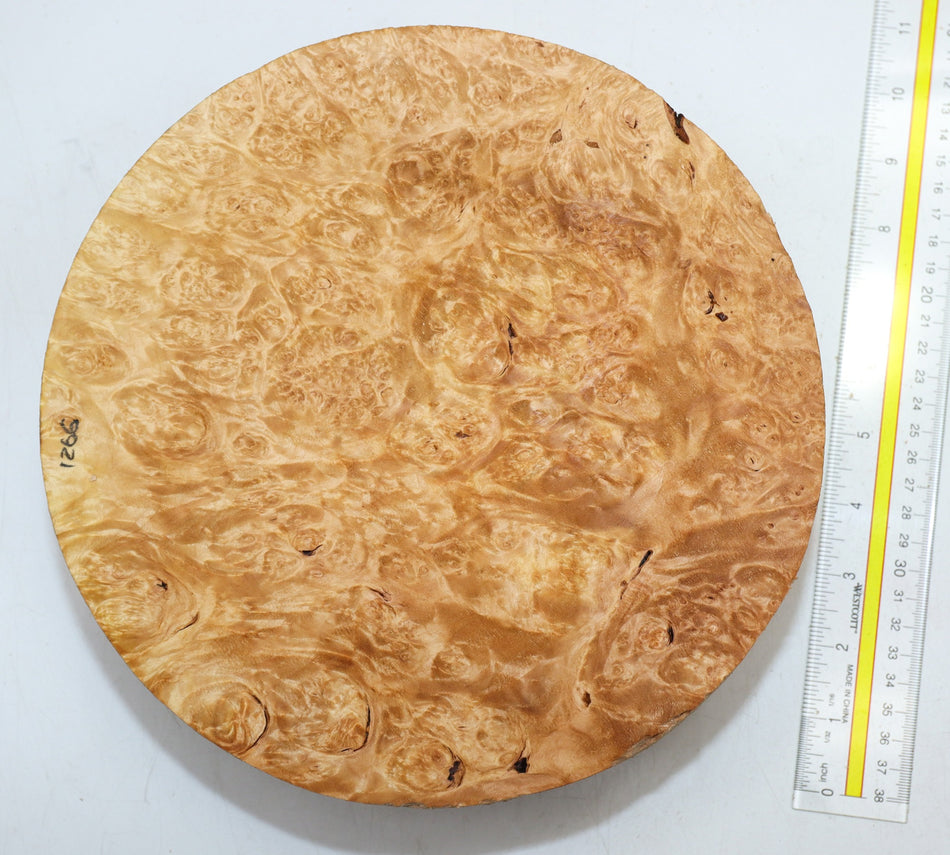 Maple Burl Round 9.75" diameter x 3.25" (PREMIUM FIGURE) - Stock# 6-1266