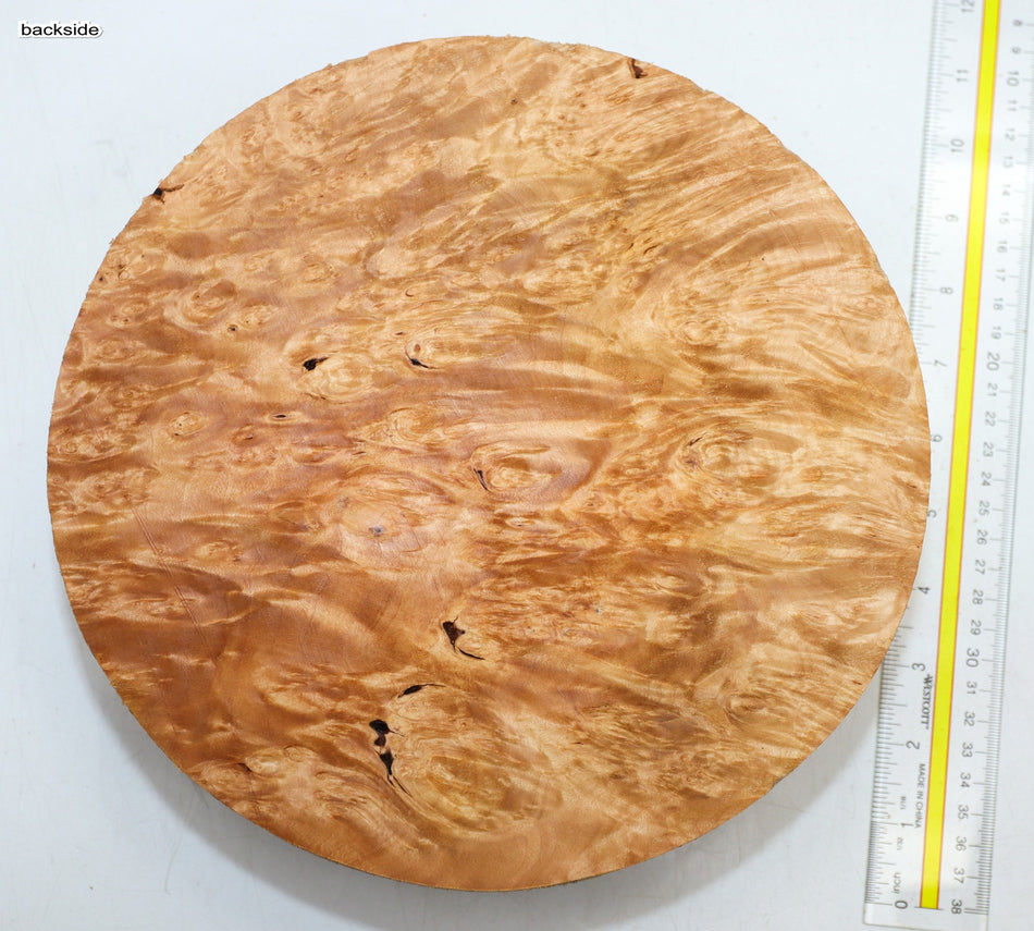 Maple Burl Round 9.75" diameter x 3.25" (PREMIUM FIGURE) - Stock# 6-1266