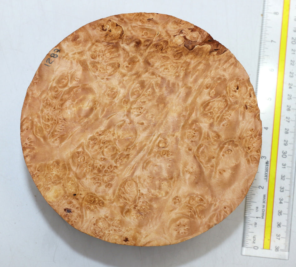 Maple Burl Round 7" diameter x 3.25" (PREMIUM FIGURE) - Stock# 6-1287