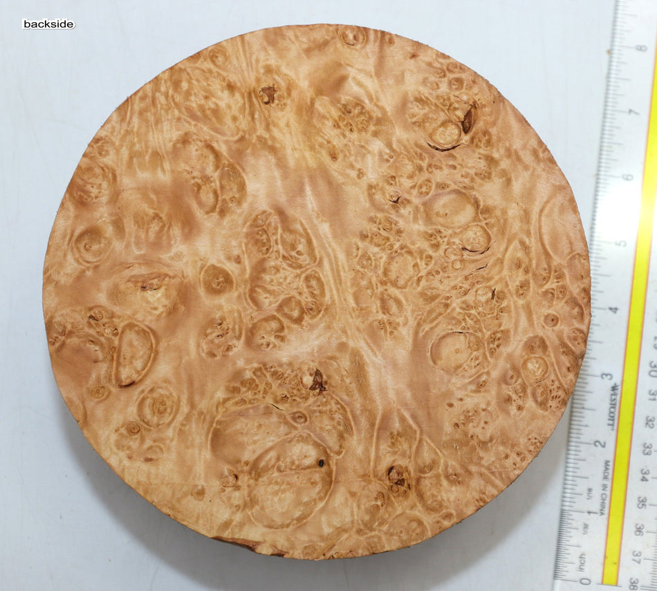 Maple Burl Round 7" diameter x 3.25" (PREMIUM FIGURE) - Stock# 6-1287