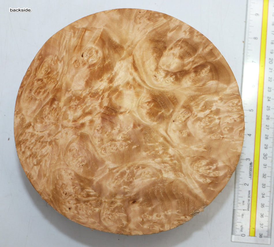 Maple Burl Round 8" diameter x 3.3" (PREMIUM FIGURE) - Stock# 6-1288