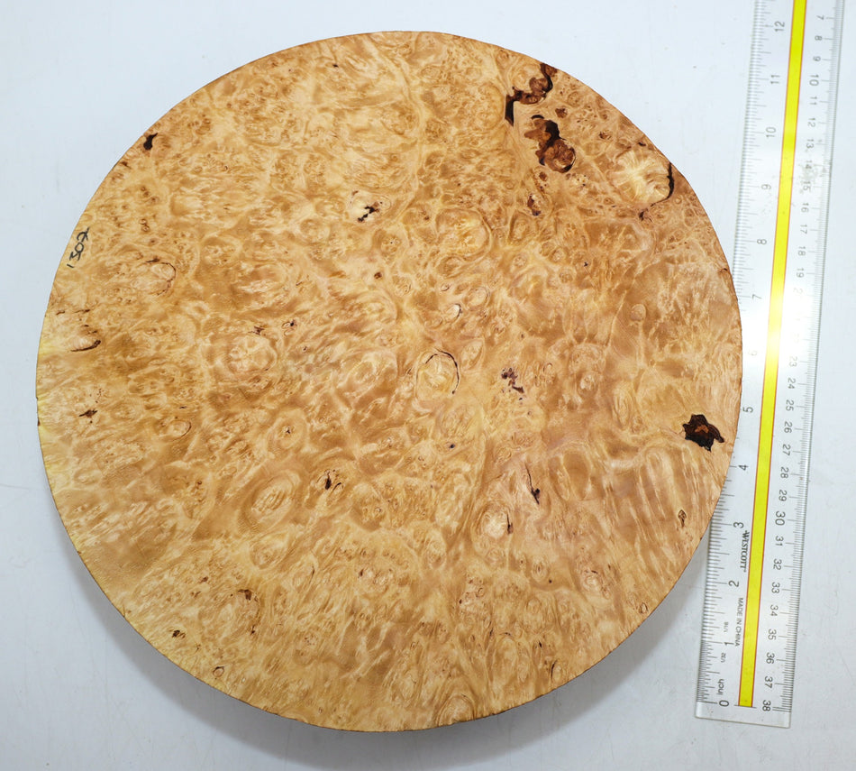 Maple Burl Round 10.5" diameter x 3" (PREMIUM FIGURE) - Stock# 6-1307