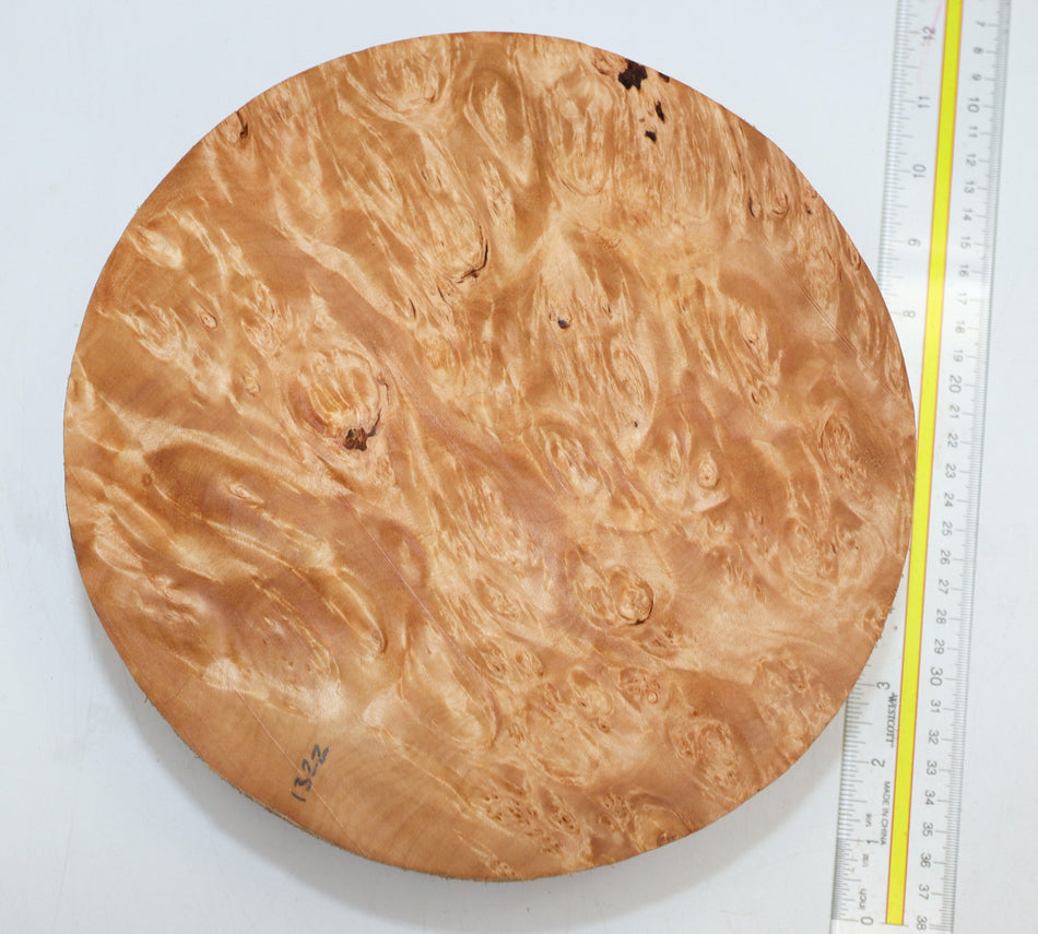 Maple Burl Round 9.5" diameter x 3.3" (HIGH FIGURE) - Stock# 6-1322