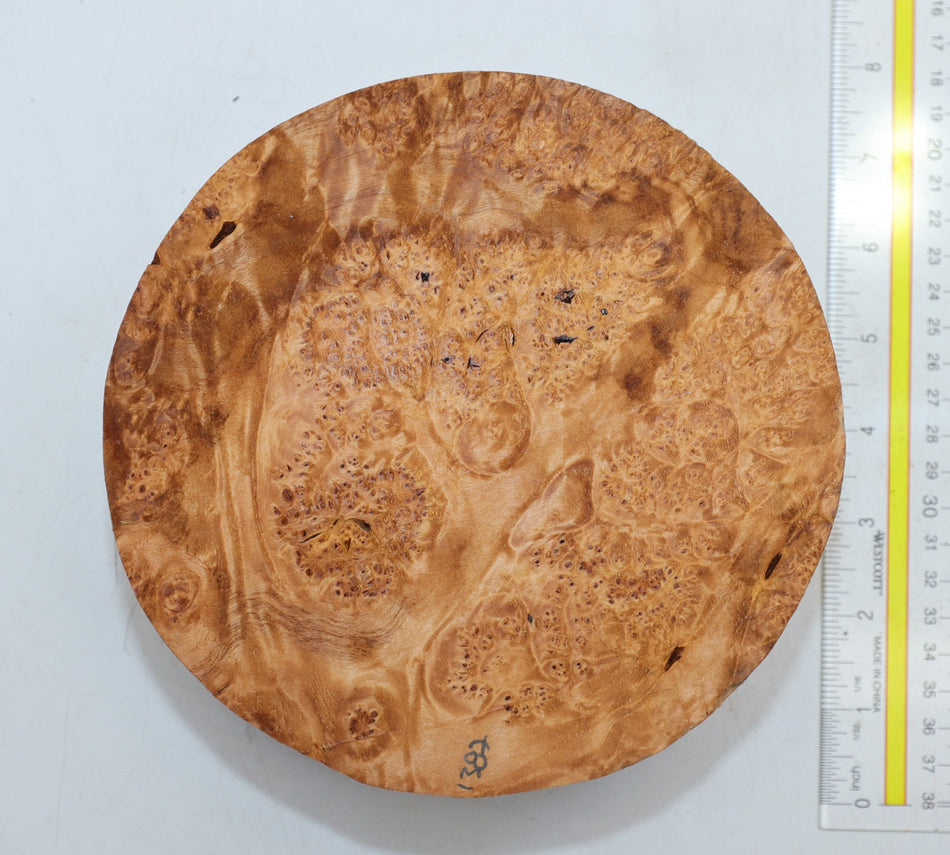 Burl Round 7" diameter x 2.75" (PREMIUM FIGURE) - Stock# 6-1387