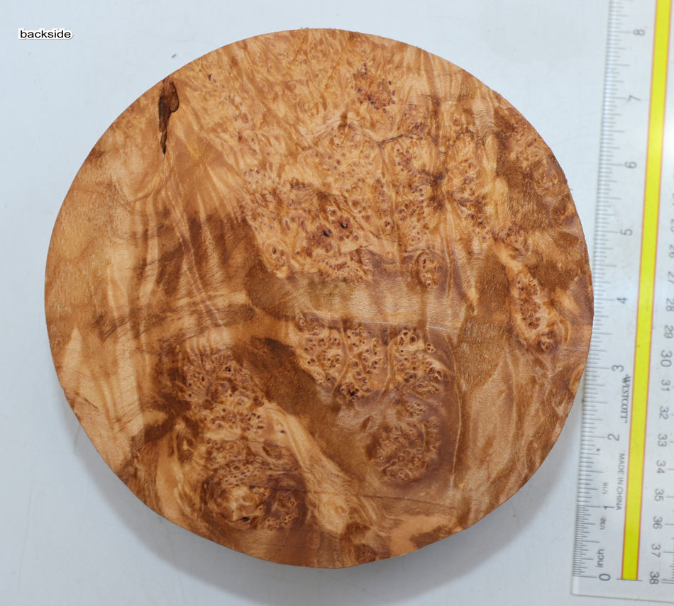 Burl Round 7" diameter x 2.75" (PREMIUM FIGURE) - Stock# 6-1387