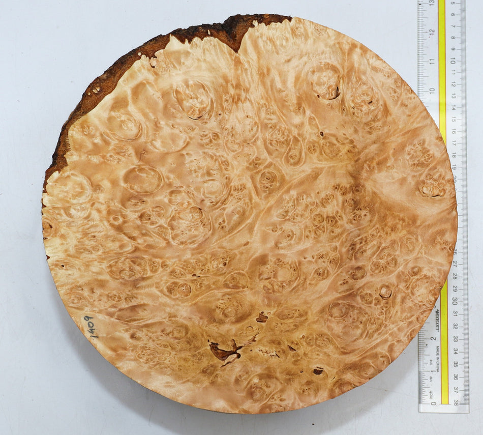 Maple Burl Round 11" diameter x 4.5" (PREMIUM FIGURE) - Stock# 6-1409