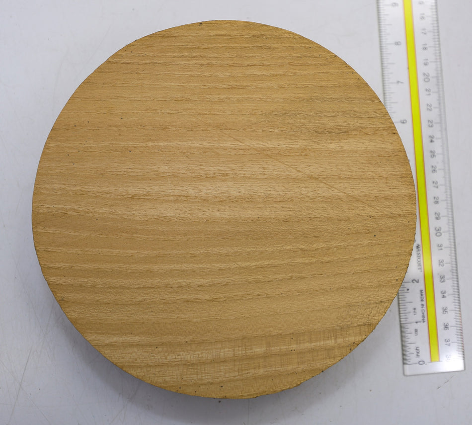 Robinia Round 8" diameter x 2.3" - Stock# 6-1521