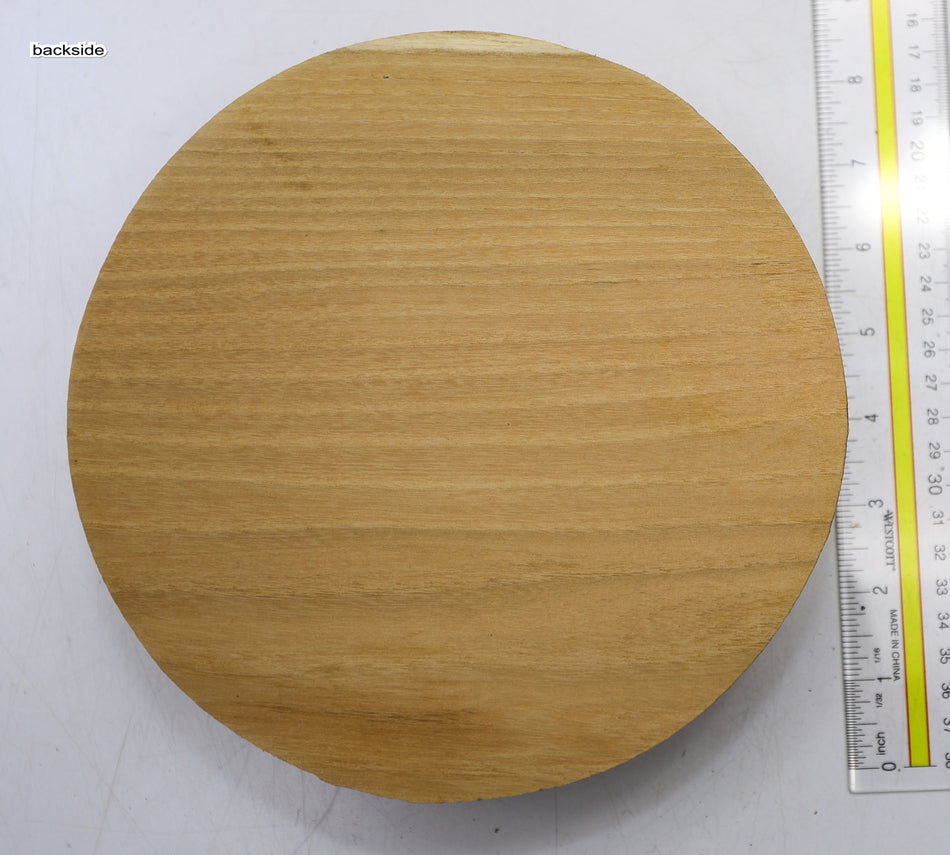 Robinia Round 8" diameter x 2.3" - Stock# 6-1521