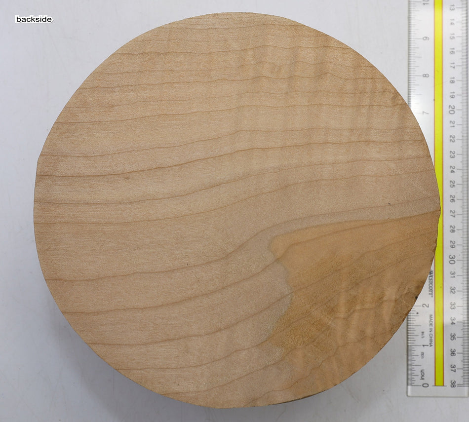 Maple Round 8" diameter x 4.7" - Stock# 6-1533