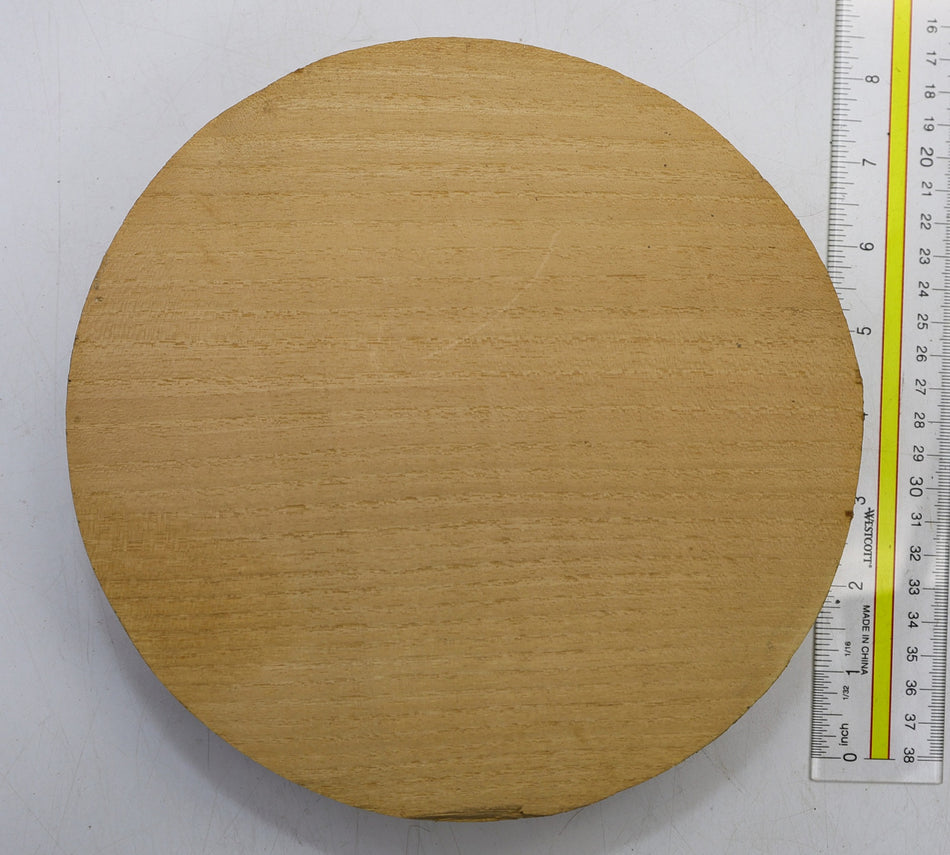 Robinia Round 8" diameter x 2.4" - Stock# 6-1534