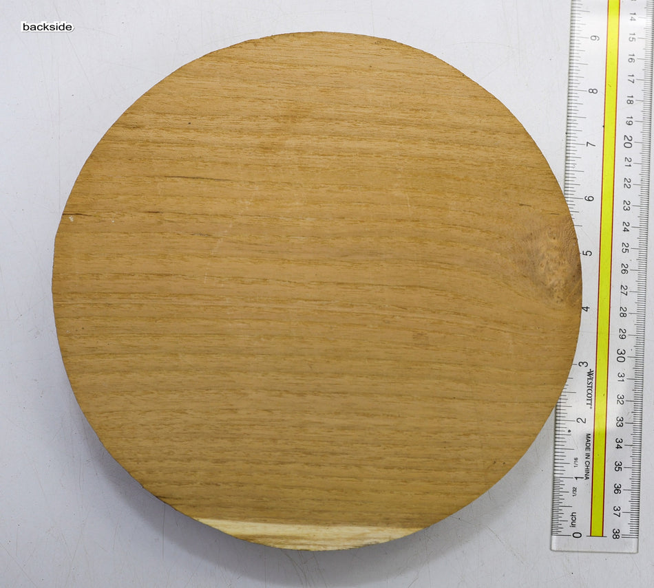 Robinia Round 8" diameter x 2.4" - Stock# 6-1534