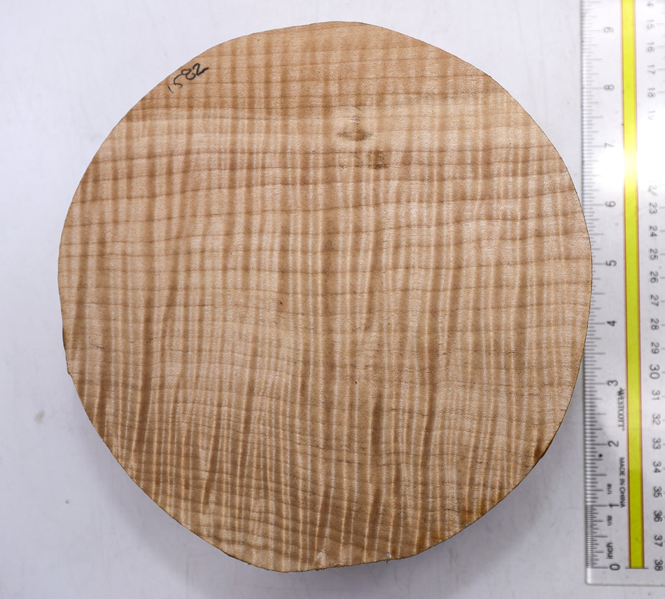 Maple Flame Round 7" diameter x 3.5" (HIGH FIGURE) - Stock# 6-1582