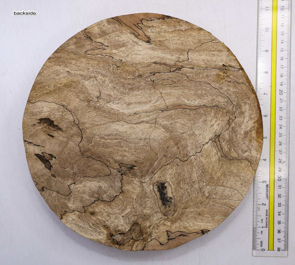 Spalted Maple Round 9.5" diameter x " (HIGH FIGURE) - Stock# 6-1586