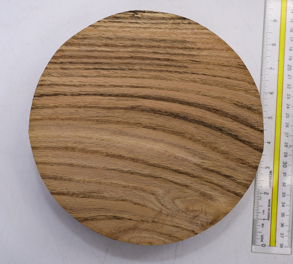 Oak Round 8" diameter x 2.5" - Stock# 6-1587