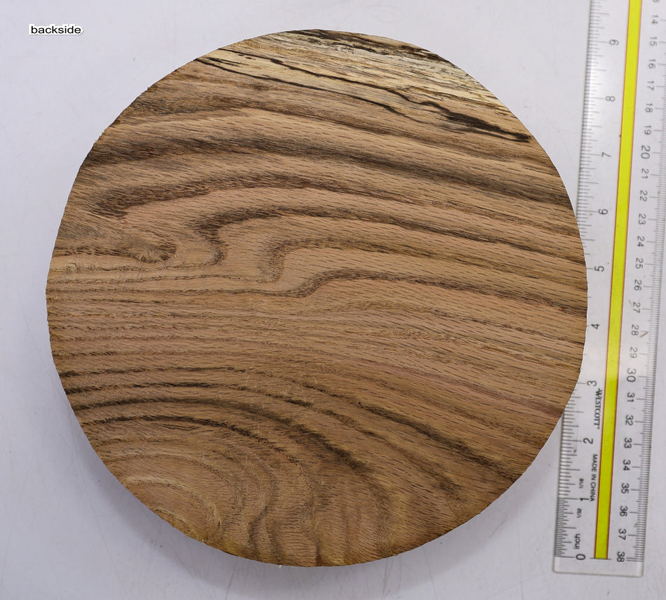 Oak Round 8" diameter x 2.5" - Stock# 6-1587