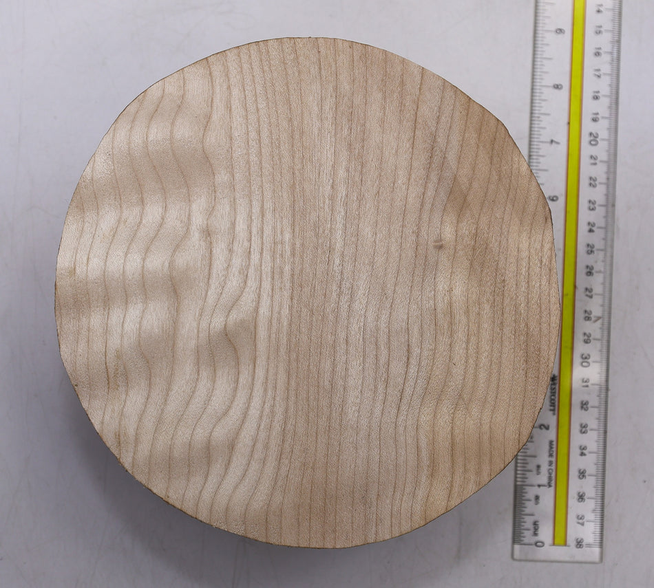 Maple Round 7" diameter x 3.75" - Stock# 6-1588