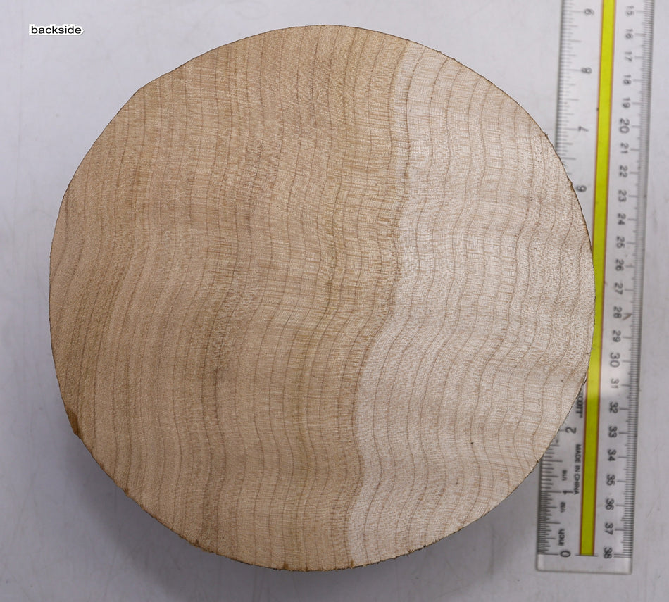 Maple Round 7" diameter x 3.75" - Stock# 6-1588