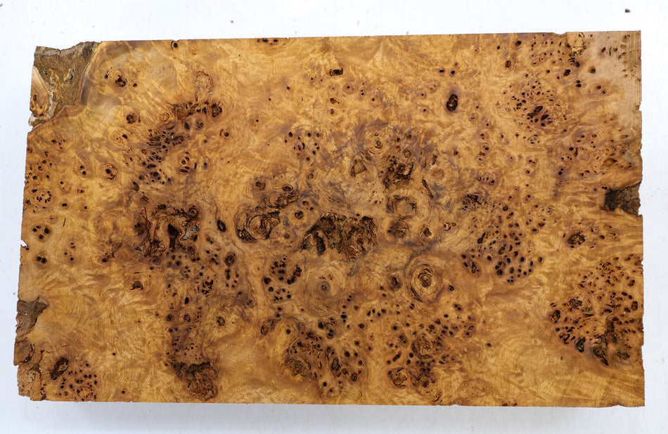 Cottonwood Burl block 14 x 8.3" x 2.6" - Stock# 6-1697