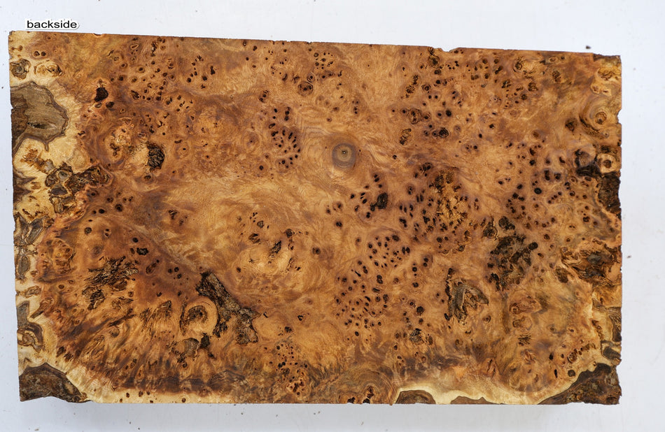 Cottonwood Burl block 14 x 8.3" x 2.6" - Stock# 6-1697